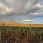 Reserva-de-la-Biosfera-Tehuacan-cuicatlan-1536x864